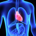 Coronary Heart Disease (CHD)