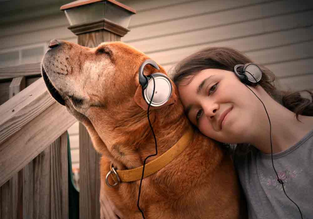 Furry Friend as your Fitness Partner