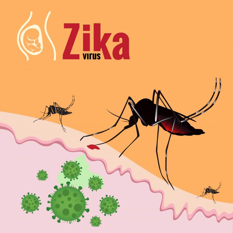 Zika