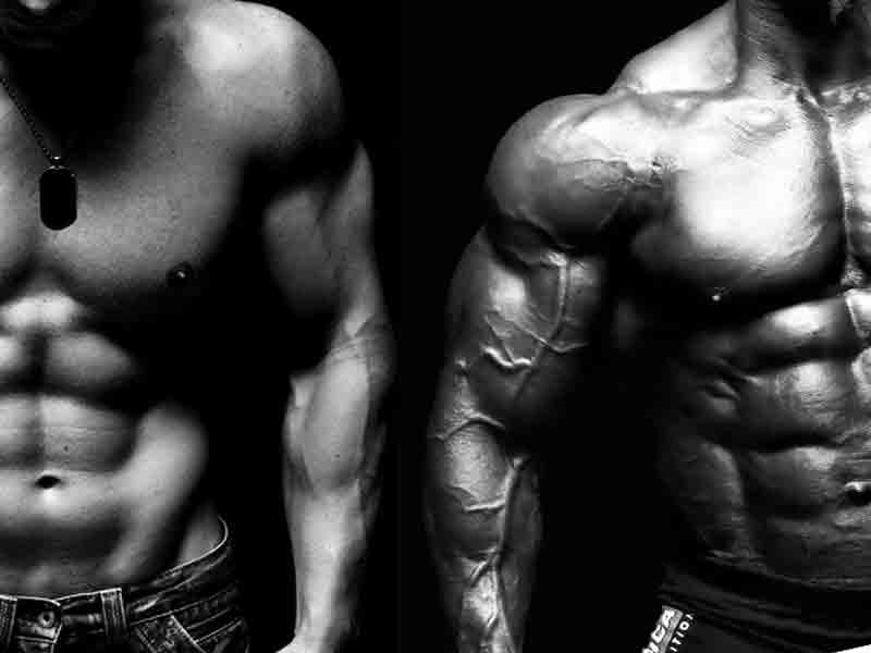 Bulky-vs-Lean