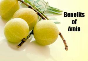 Amla for Hair Care