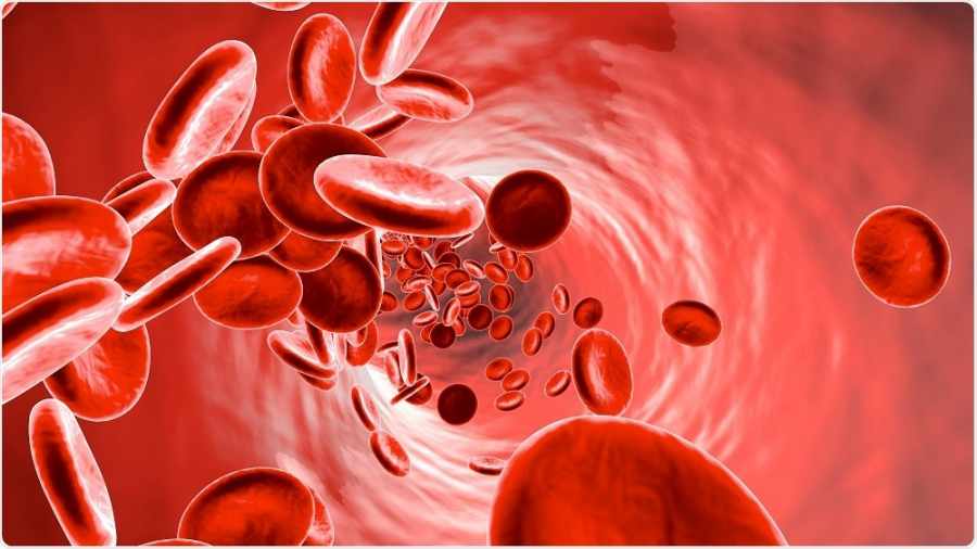 Decoding the Causes, Signs and Symptoms of Anaemia