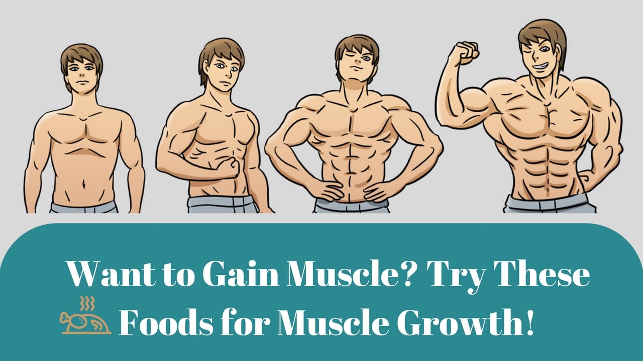 Foods for Muscle Growth