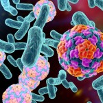 Herpes Simplex Virus