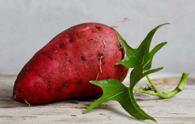 Sweet Potato Diet